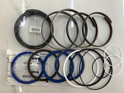 OEM 2440-9238KT Boom Cylinder Seal Kit PU ยางสําหรับ DOOSAN S290LC-5 DH300-7