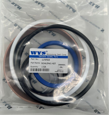 Hydraulische Zylinderversiegelungskits Teil Nr. 11707025 Versiegelungskit