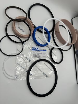 WYS Wonyoung Siegel Siegel Teile Original NO.11707024 SEALING KIT Inspectlon ZRL 1 EA O Ring Hydraulische Dichtungen