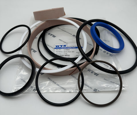 WYS Genuine Quality Parts Part No 11709832 SEALING KIT Inspec 1 EA ZRL