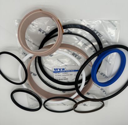 WYS Genuine Quality Parts Part No 11709832 SEALING KIT Inspec 1 EA ZRL