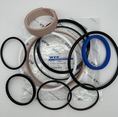 WYS Genuine Quality Parts Part No 11709832 SEALING KIT Inspec 1 EA ZRL